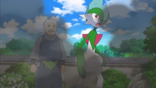 xy (155)