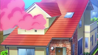 cap (263)