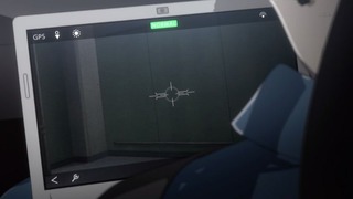 cap (33)