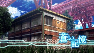 cap (13)