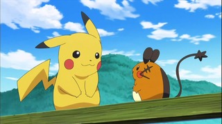 xy53 (38)