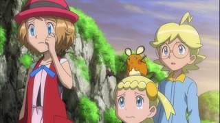 xy (154)