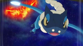 xy (41)