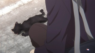 cap (5)