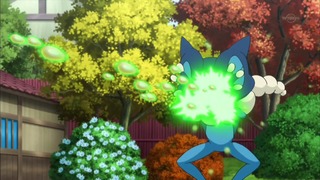 xy (143)