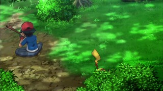 xy (29)