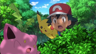 xy (69)