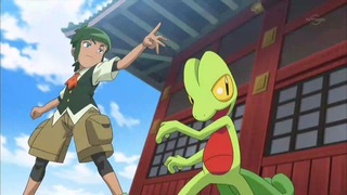 xy (59)