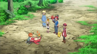 xy (26)