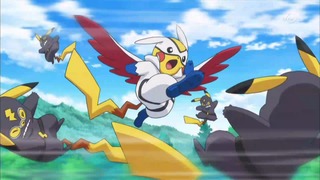 xy (306)