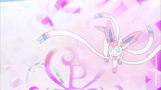 xy (46)