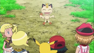 xy (137)