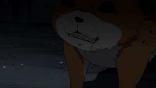cap (37)