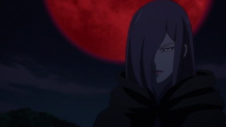 cap (33)