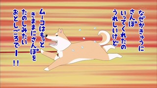 muco (3)
