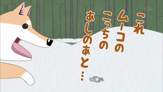 muco (49)