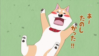 muco (33)