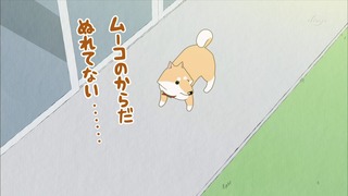 muco (34)