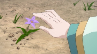 cap (105)