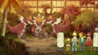 xy (164)