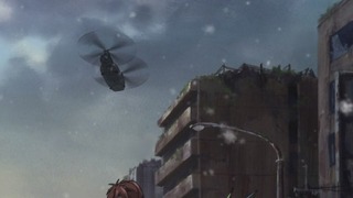 cap (308)