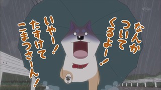 muco (13)