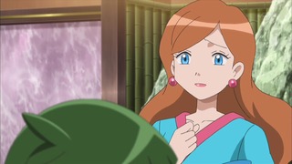 xy (18)
