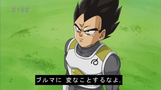 cap (27)
