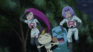 xy (154)