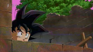 cap (214)