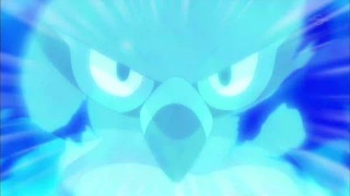 xy (91)