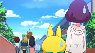 cap (146)