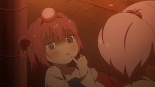 yy-219