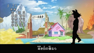 cap (228)