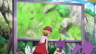 xy (65)