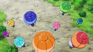 xy (57)