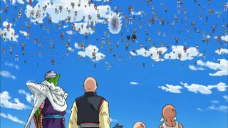 cap (14)