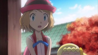 xy (77)