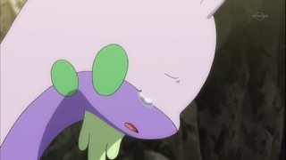 xy (166)