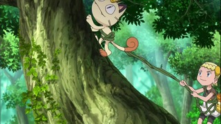 xy (63)
