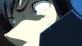 cap (231)