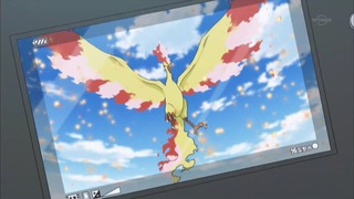 xy (173)