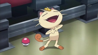 xy (144)