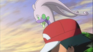 xy (149)