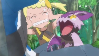 xy (194)