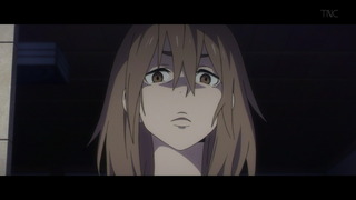 cap (17)