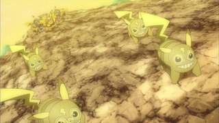 xy (325)
