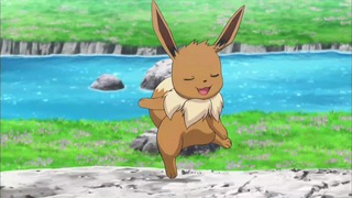 xy (39)