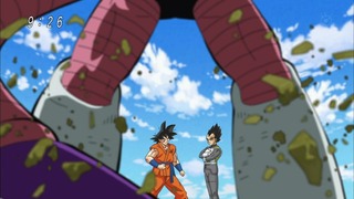 cap (113)