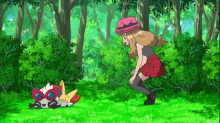 xy53 (90)